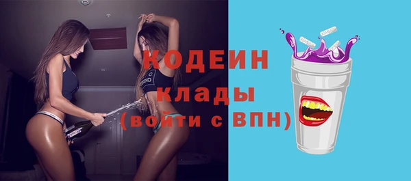 твердый Пересвет