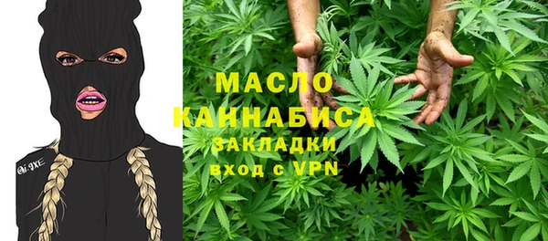 твердый Пересвет
