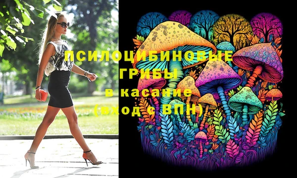 мяу мяу мука Переславль-Залесский