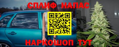 хмурый Гай